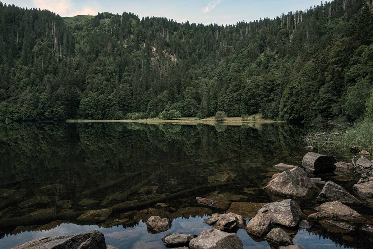 Germany--Beauty-of-BlackForest