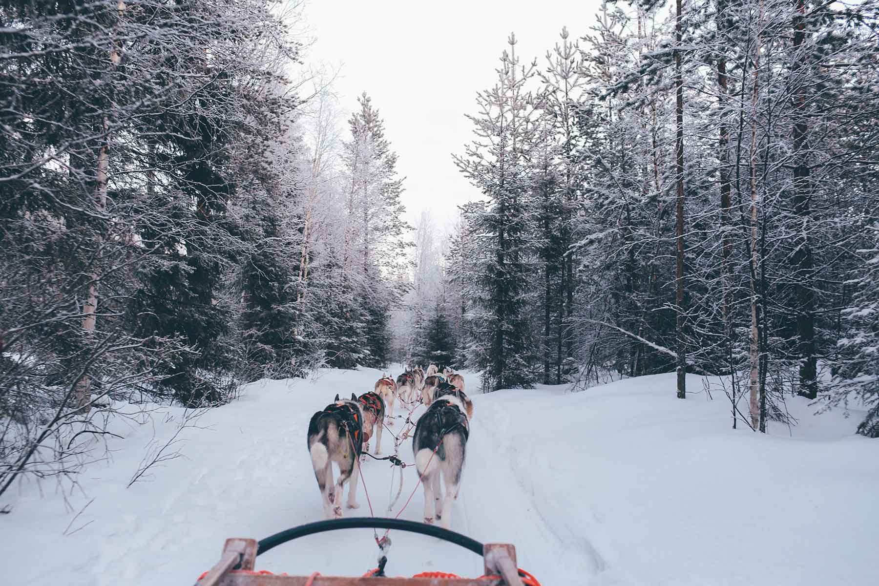Santa-Claus-Village,-Rovaniemi,-Finland