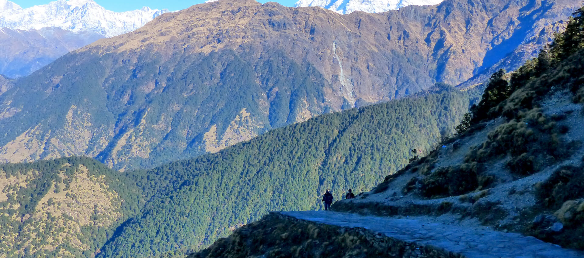 Chopta-Tunganath-Trek
