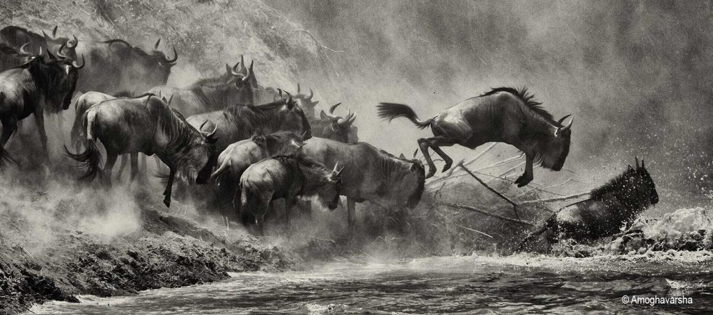 Great-Migration-Africa