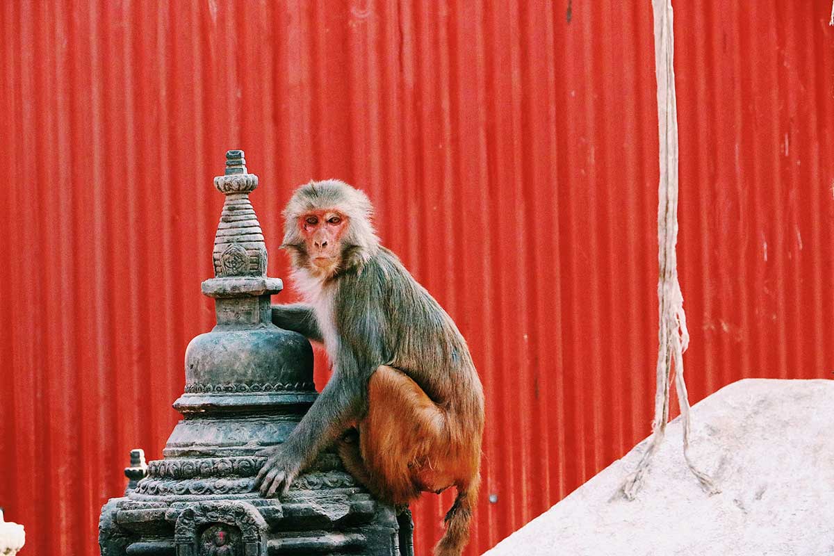 Kathmandu,-Nepal