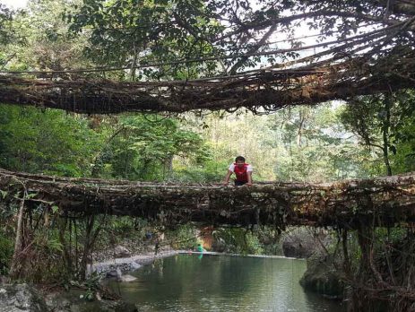 Living-Root-Bridge-of-Meghalaya