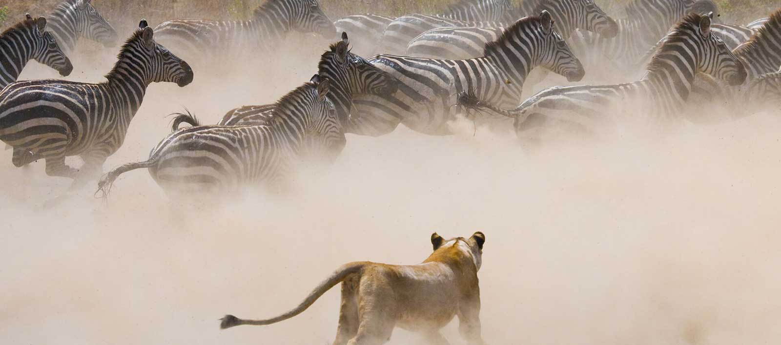 Masai-Mara-Mt-Kilimanjaro