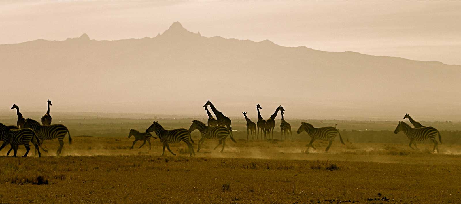 Masai-Mara