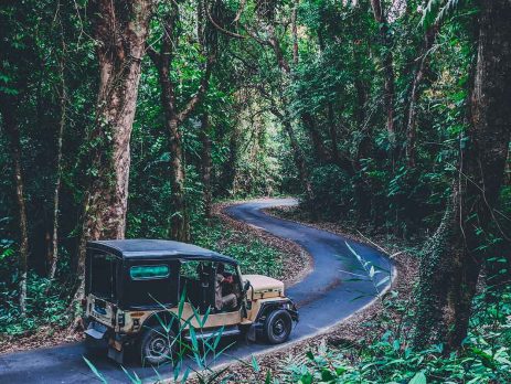 Mount-Harriet-National-Park,-Port-Blair,-India