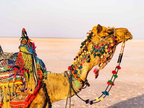 Rann-of-Kutch,-India