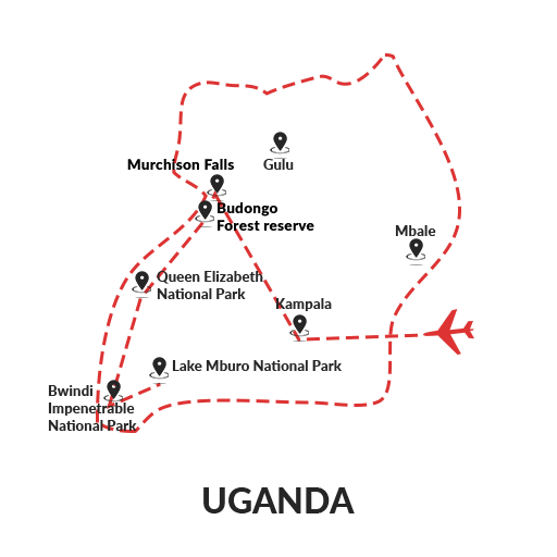 The Best of Uganda – Mountain Gorilla & Chimpanzee Tracking 9D8N