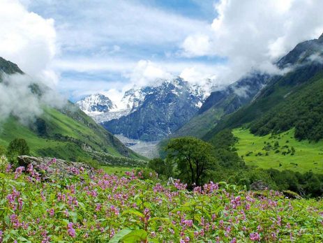 Valley-of-Flowers