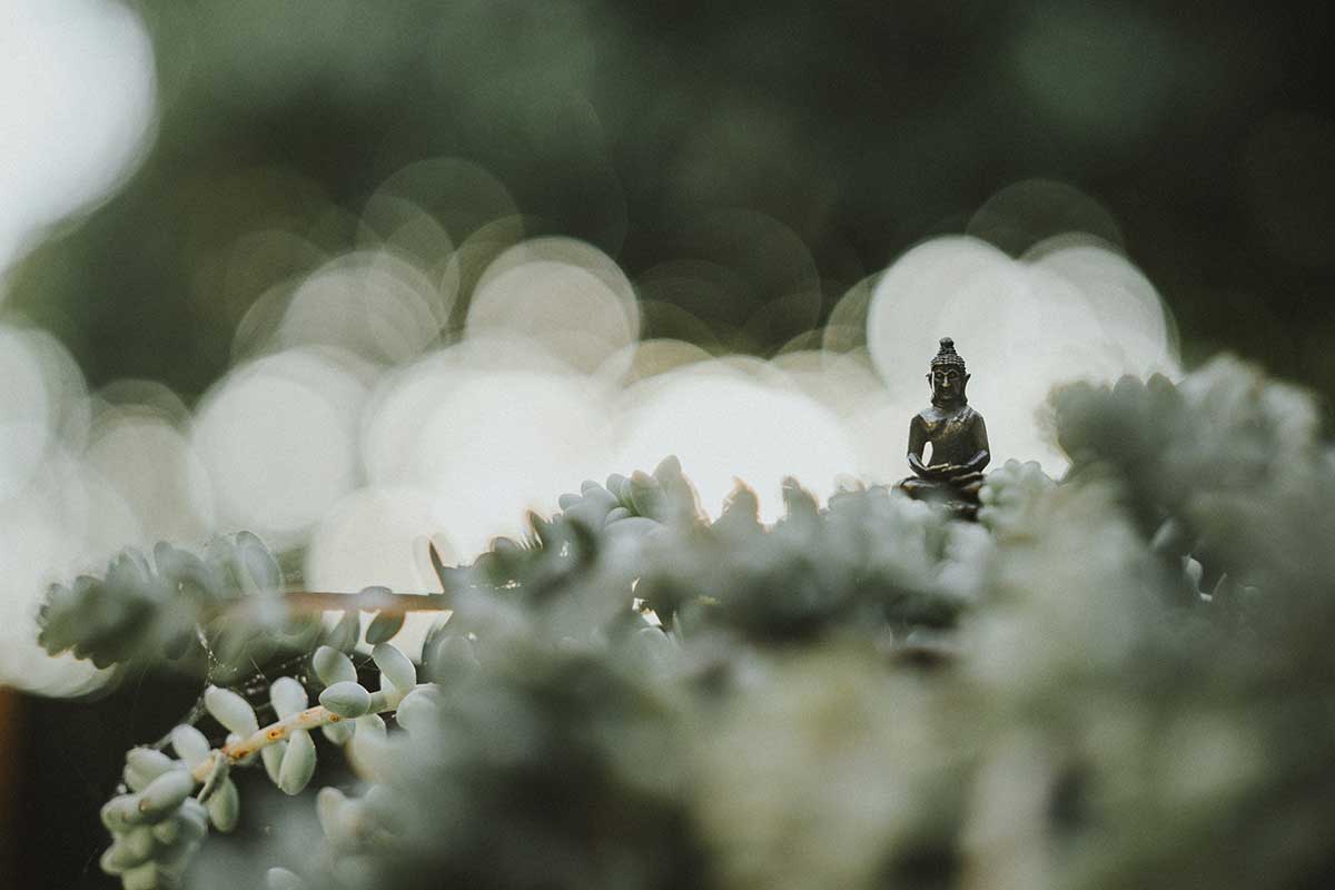 buddha-trail