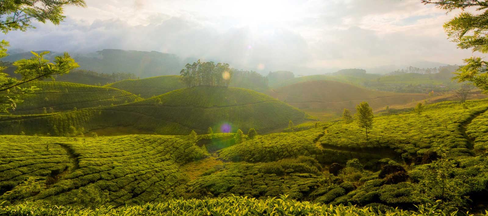 nature-kerala-header
