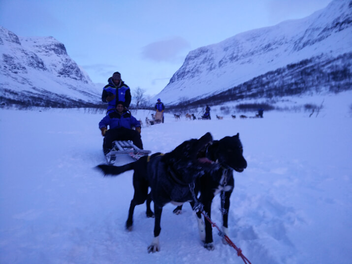 Dog-Sledding in the arctic