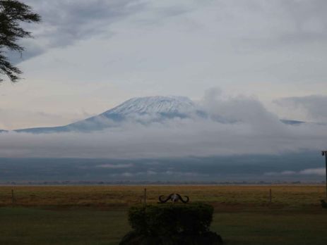 Amboseli-In-the-Shadow-of-Kilimanjaro