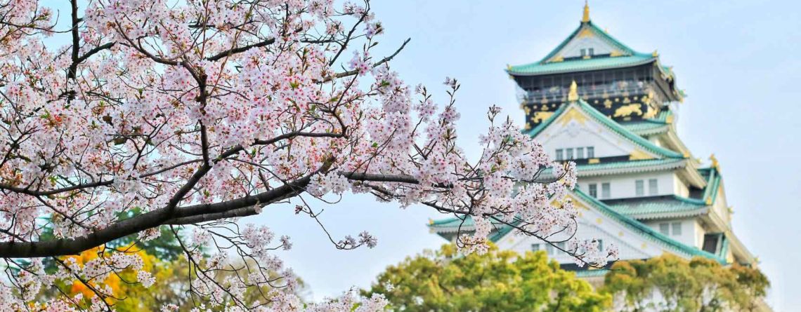 Cherry-Blossom-Japan