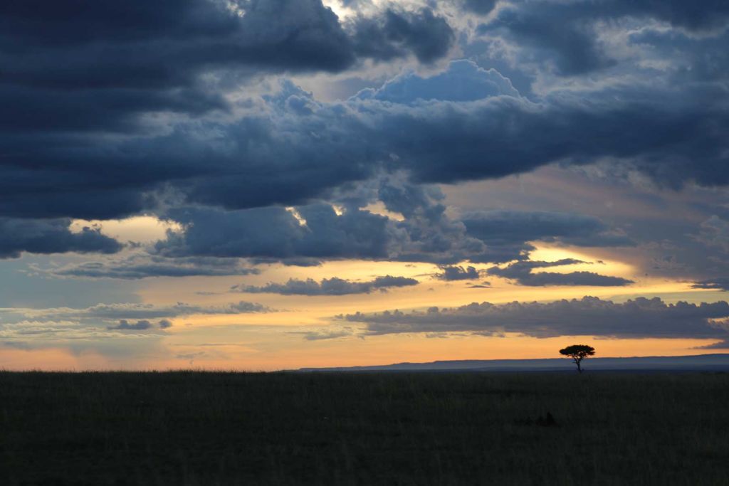 Mara Landscape-Sunset