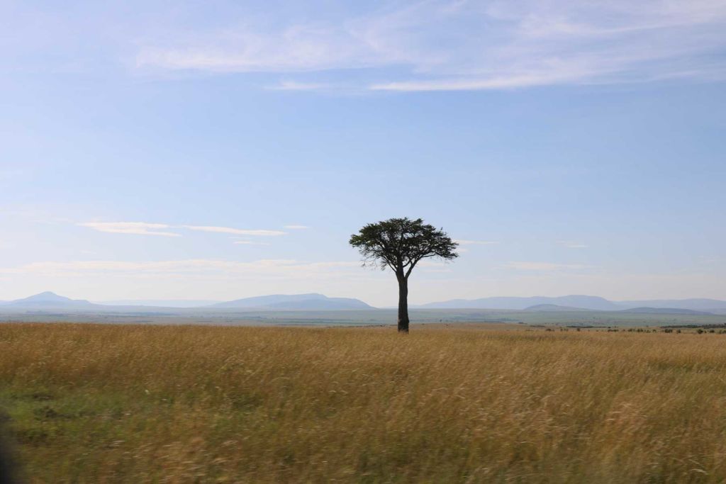 Mara Landscape Hills