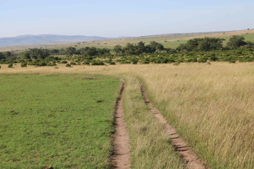 Patches in the Mara-Road