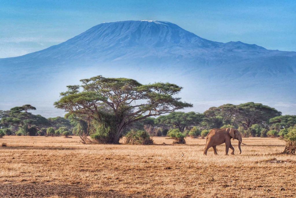 Amboseli-kenya