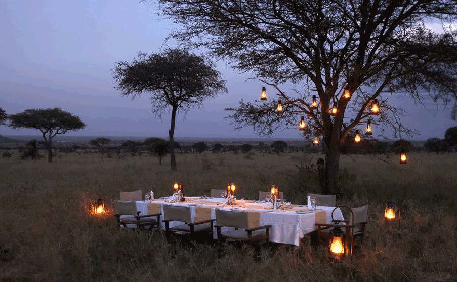 Safari-Bush-dinner-in-Masai-mara