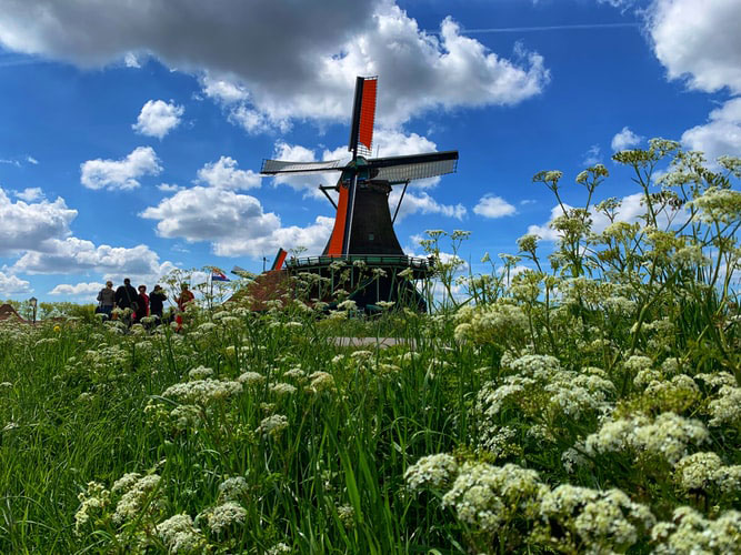 Zaanse-windmills-village
