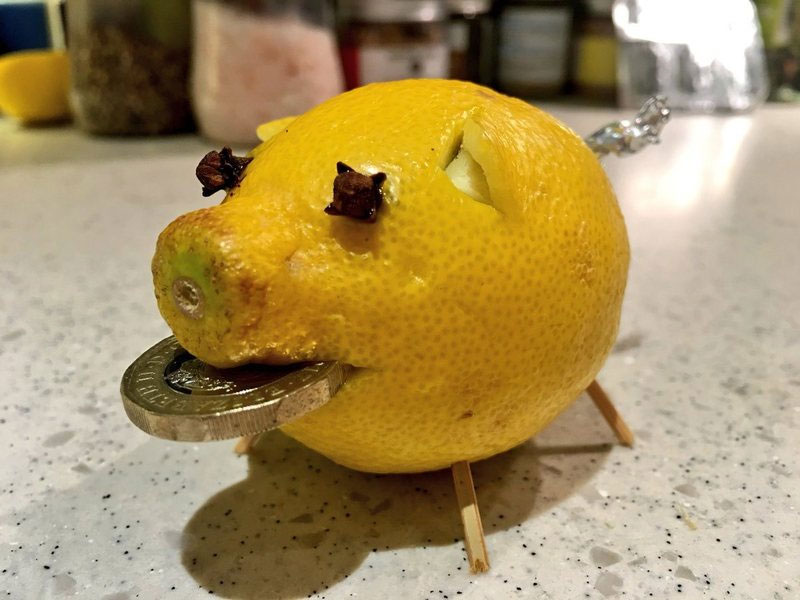 lemon-pig