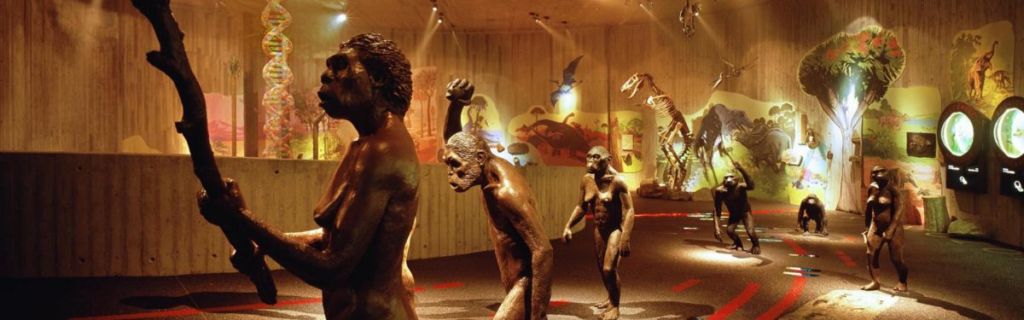 Neanderthal Man Museum