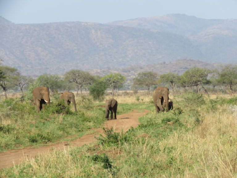 Kidepo – Stunning landscapes, remote wilderness - Beyonder