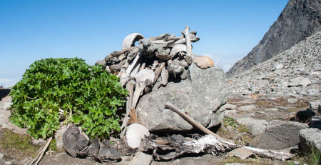 Roopkund Lake and the Human Skeletons