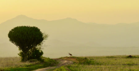 Kidepo Valley National Park, Uganda