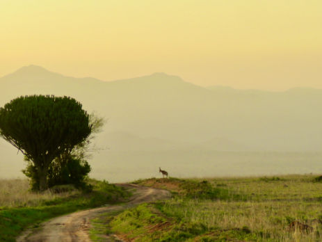 Kidepo Valley National Park, Uganda