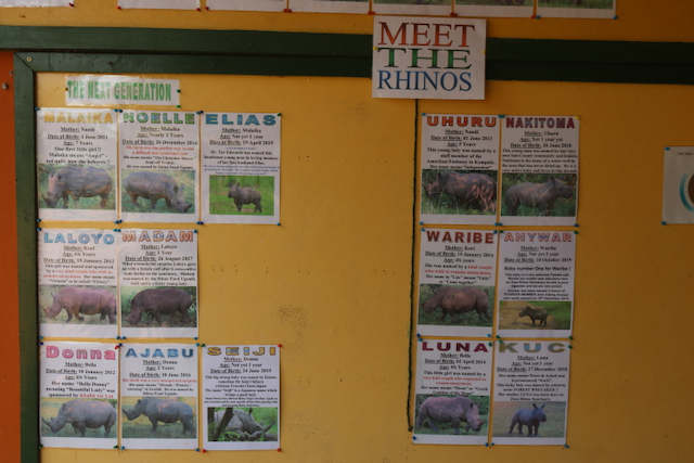 Rhino Board, 2nd Generation, Ziwa Rhino Sanctuary, Uganda