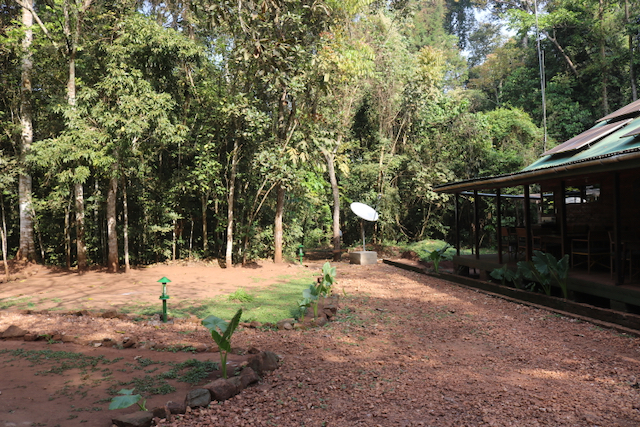 Budongo Eco Lodge, Budongo Forest Reserve, Uganda
