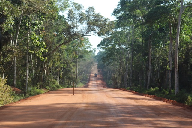 Ugly Highway through the Budongo Forest Reserve