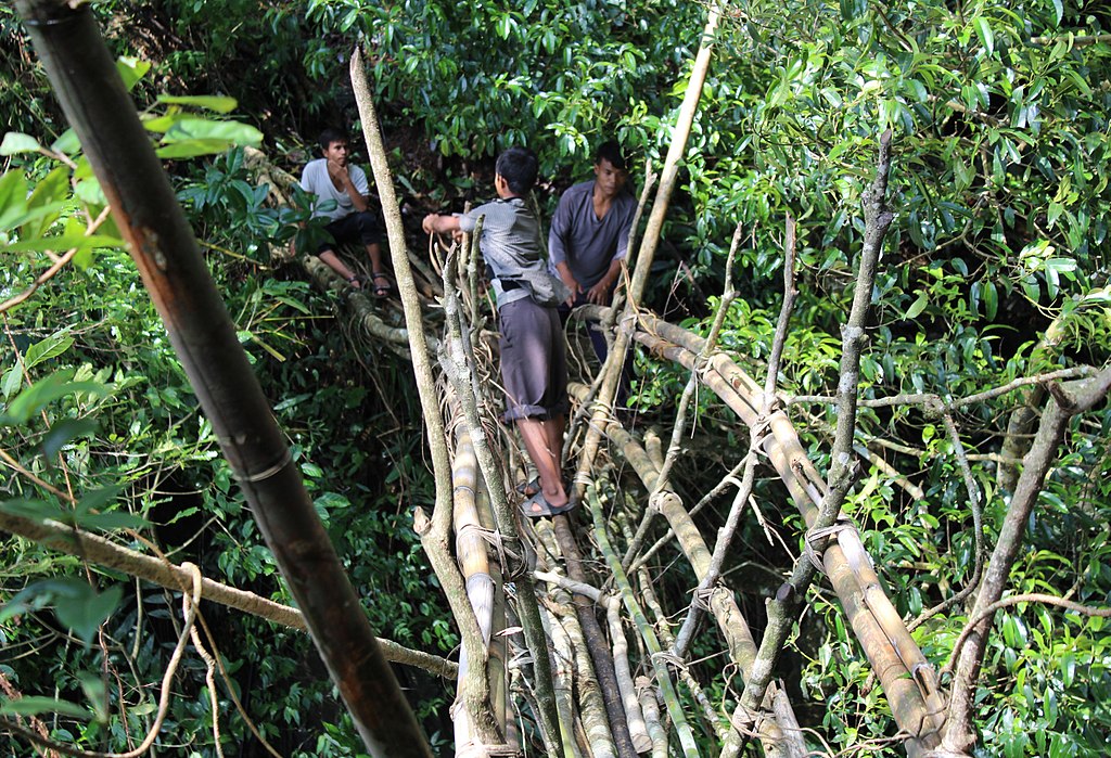 Root bridge using bamboo scaffold