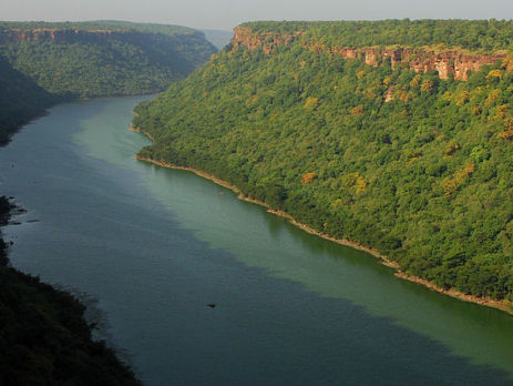 Chambal river