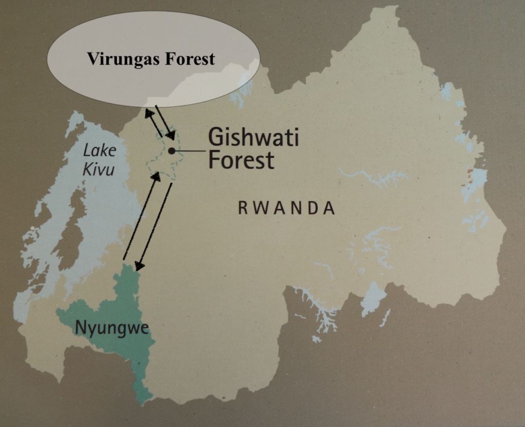Decline of Nyungwe Forest