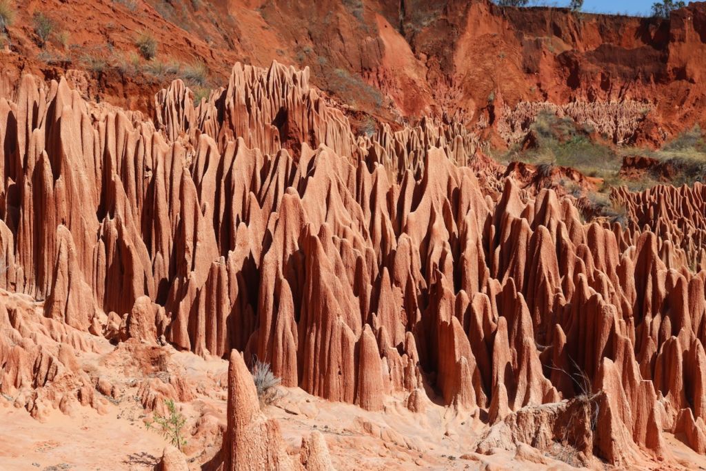 The Rock Forests of Tsingy de Bemaraha, Madagascar - Beyonder