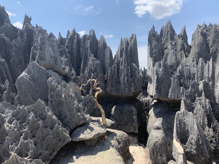 The Rock Forests of Tsingy de Bemaraha, Madagascar - Beyonder