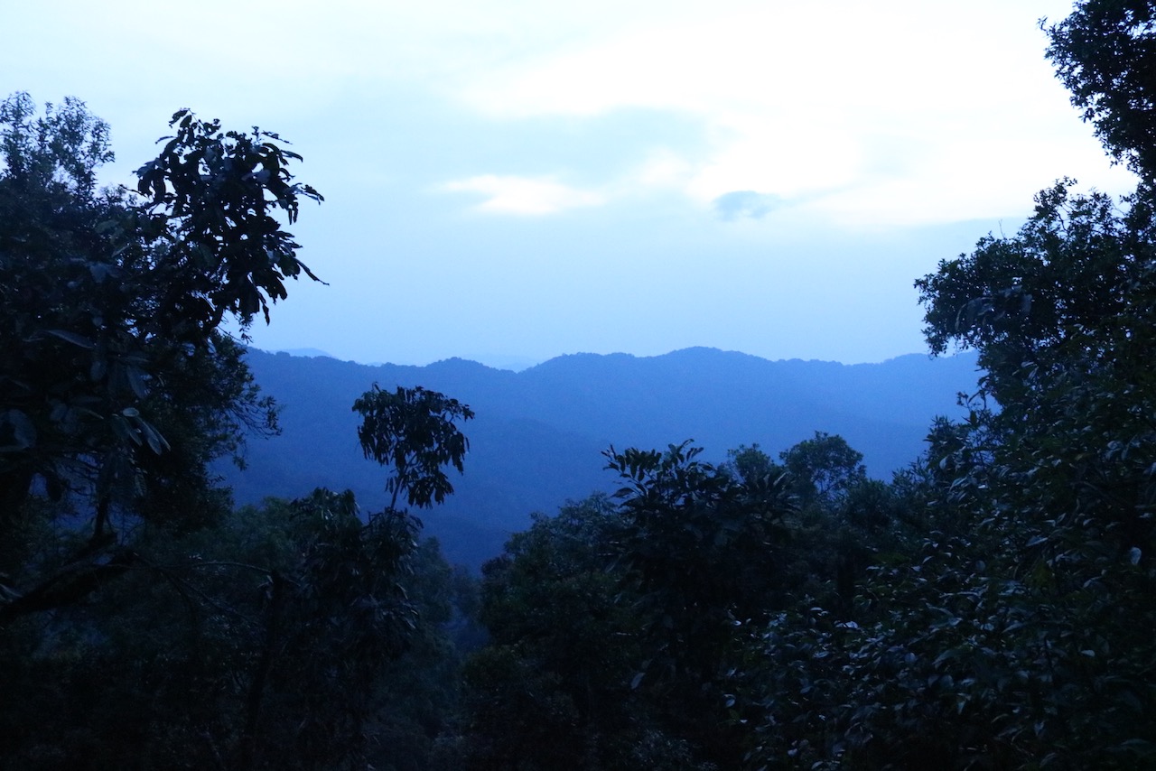 View from campsite, Nyungwe Forest National Park