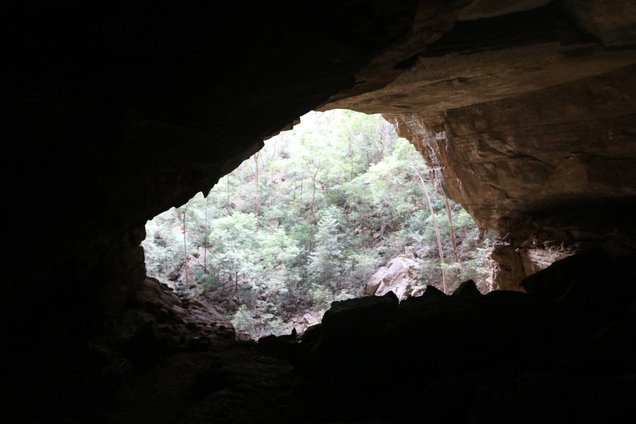 Cave of Bats