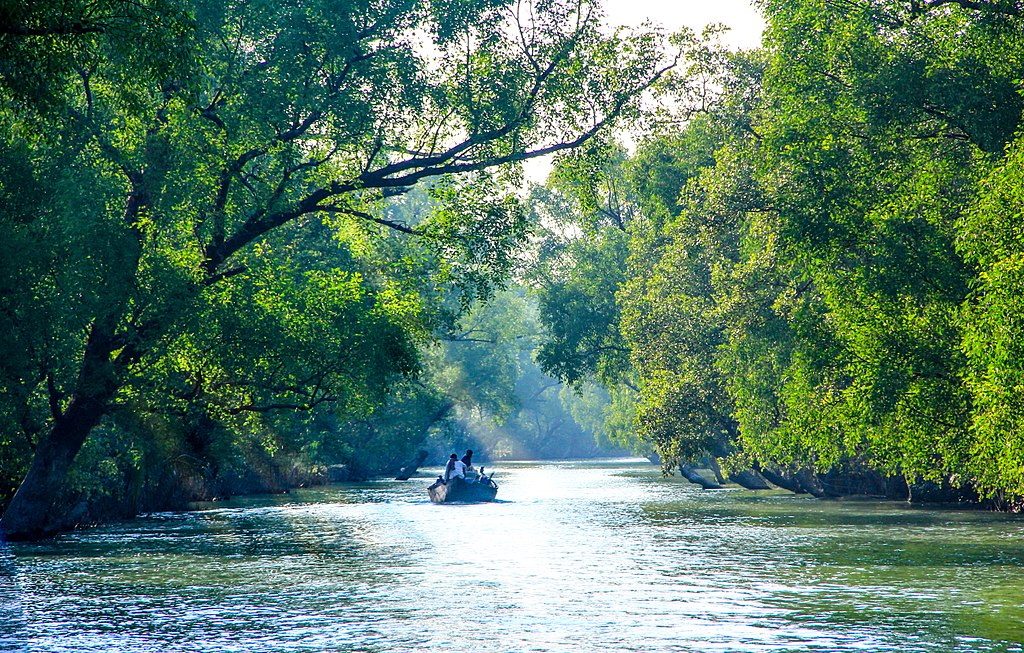 visit sundarbans national park