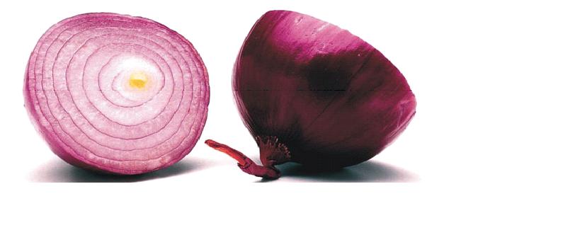 cut onion layers