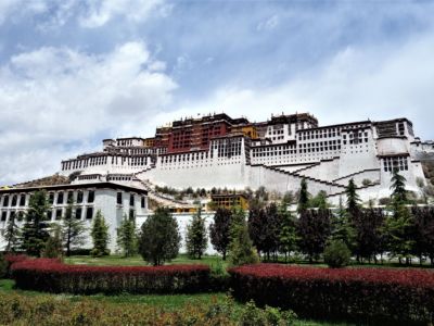 potala palace shirt