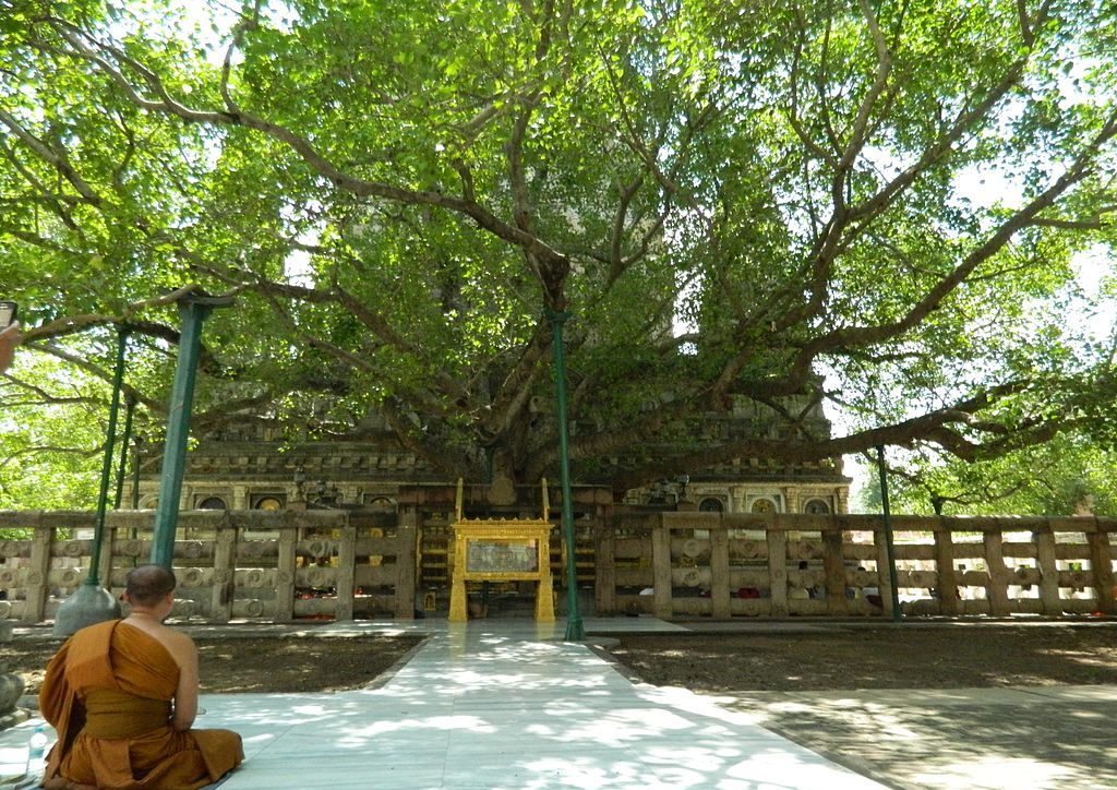 Bodhi Temple at Mahabodhi temple