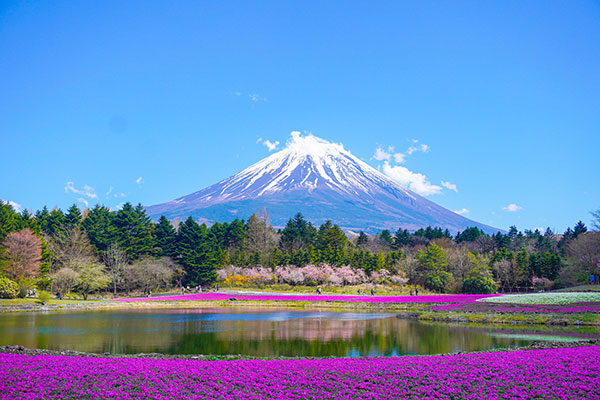Japan_Campaign_Gallery_01_03