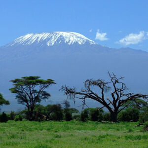 Kenya-Tour-Package_Gallery_02