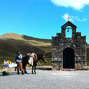 Salta-Banner Salta-Banner