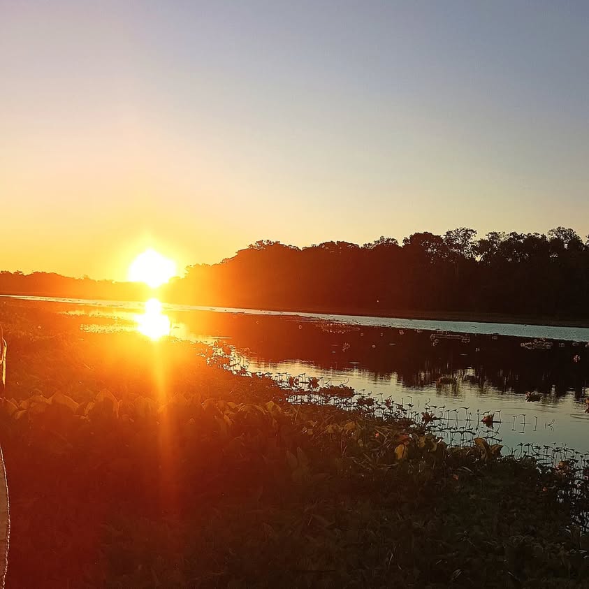 Amazon Muyuna Amazon Muyuna