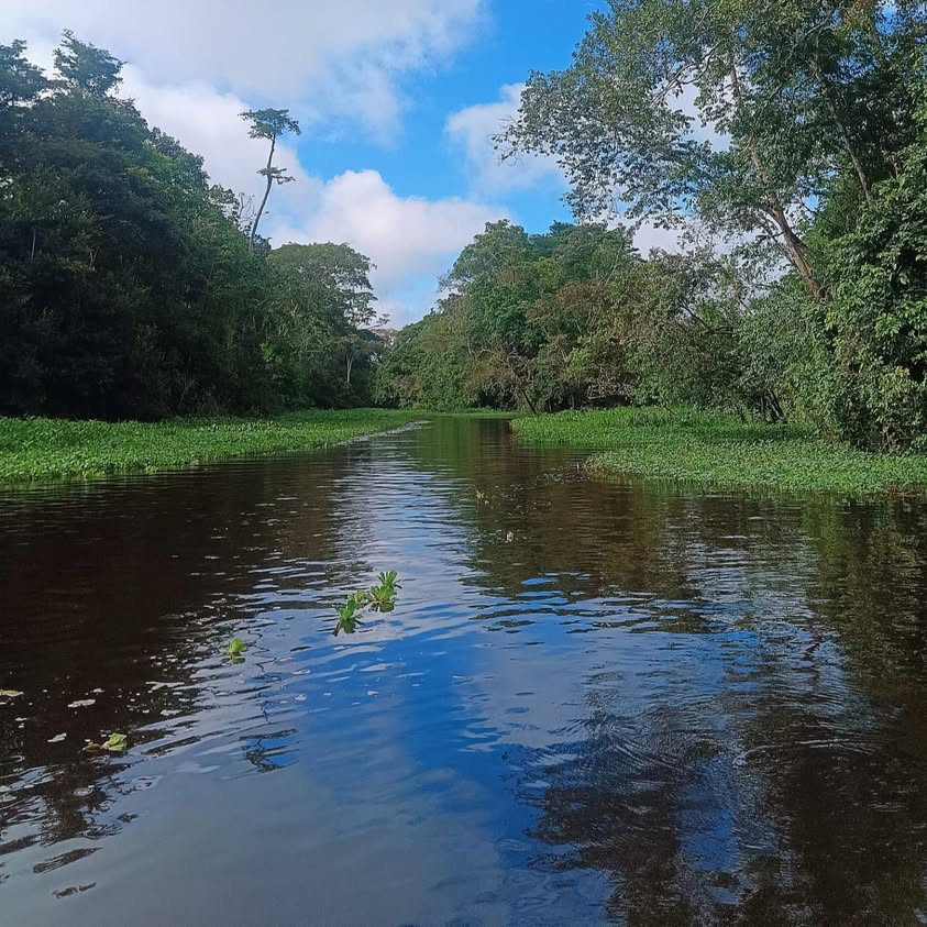 Amazon Muyuna Amazon Muyuna