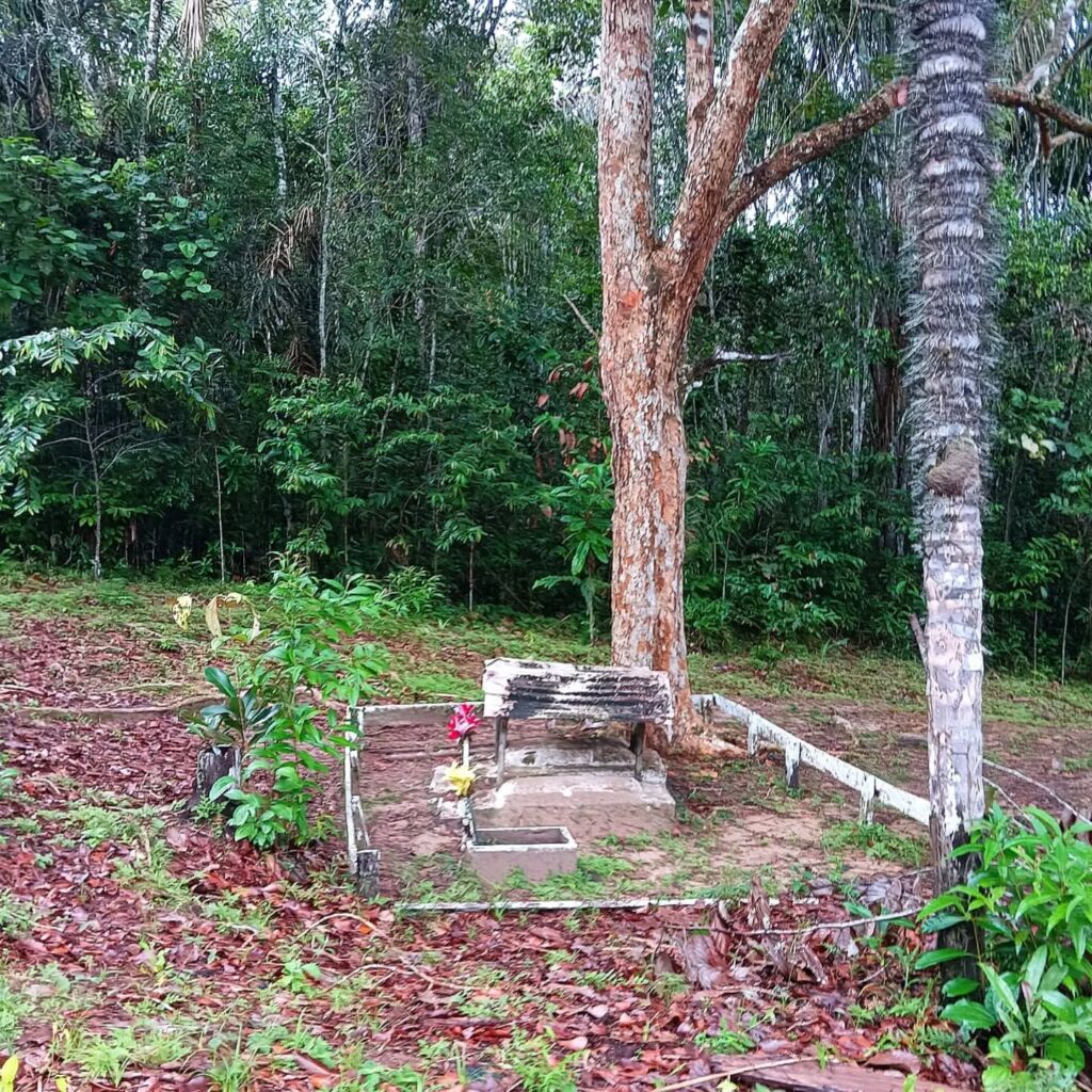 Caboclo Amazon Brazil