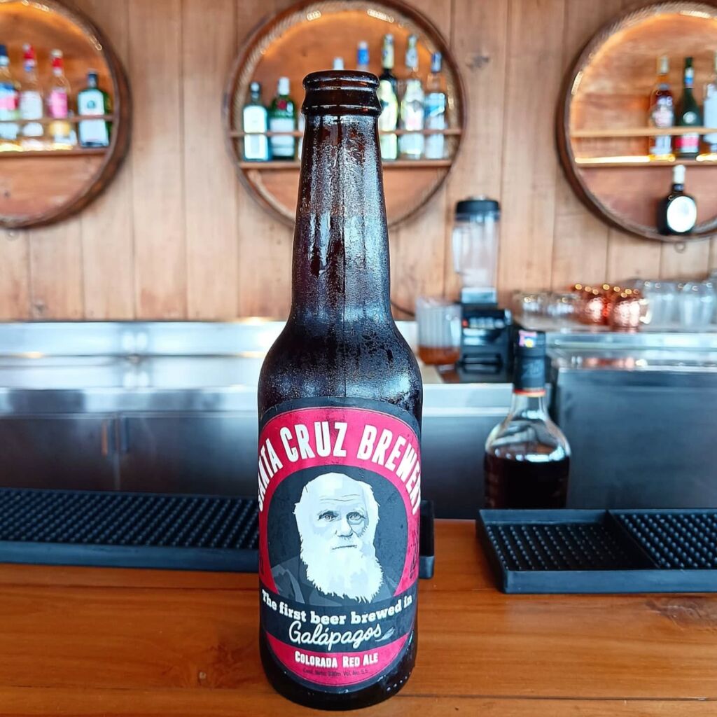 Darwin beer